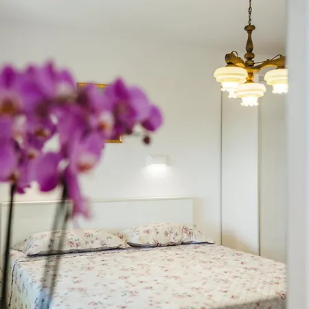 Katica Apartment Povile