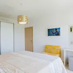Apartmán Katica